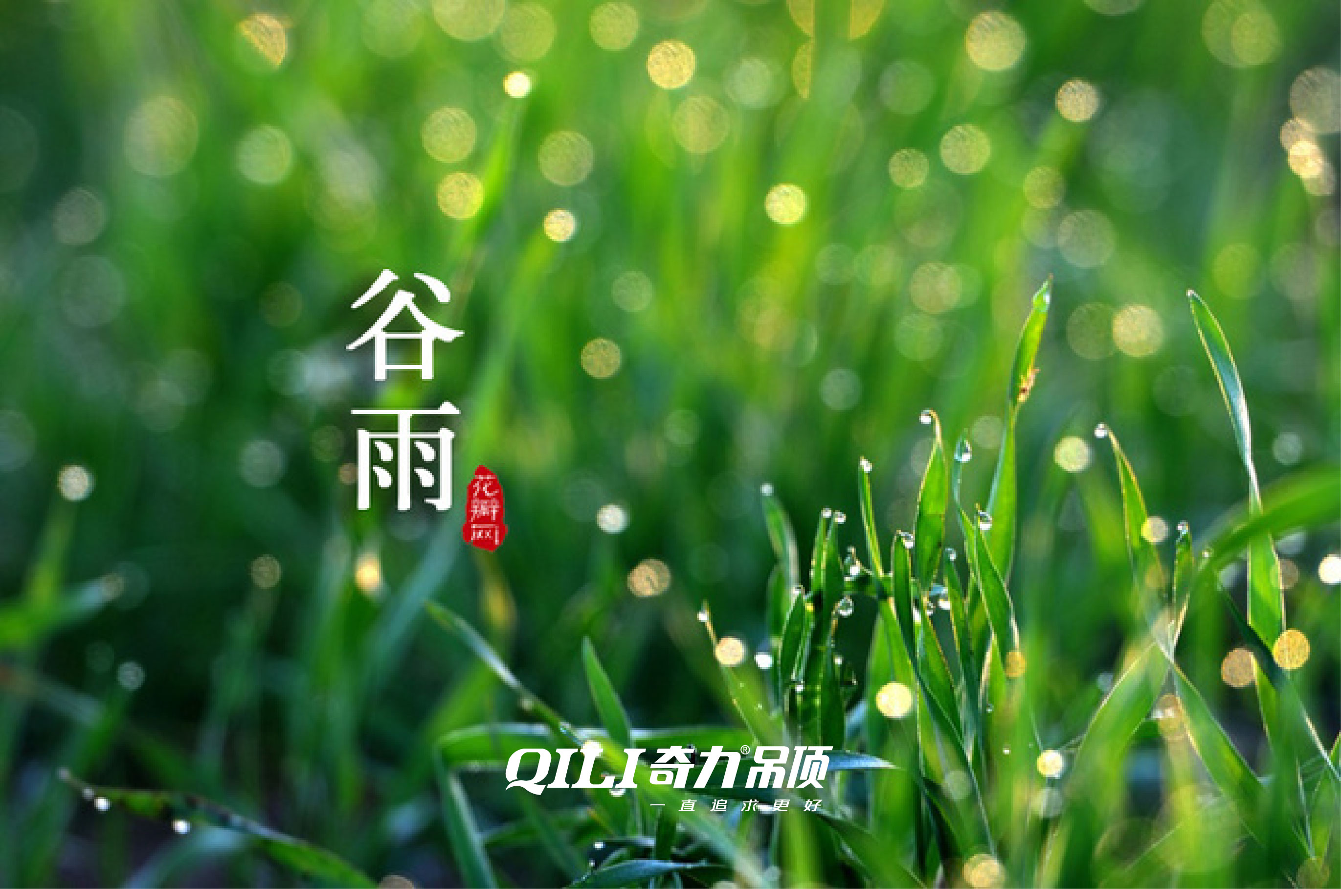 香港宝典全年资料库