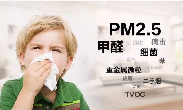香港宝典全年资料库